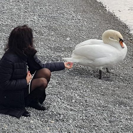 Résidence Les Crêtes Torgon Esterno foto